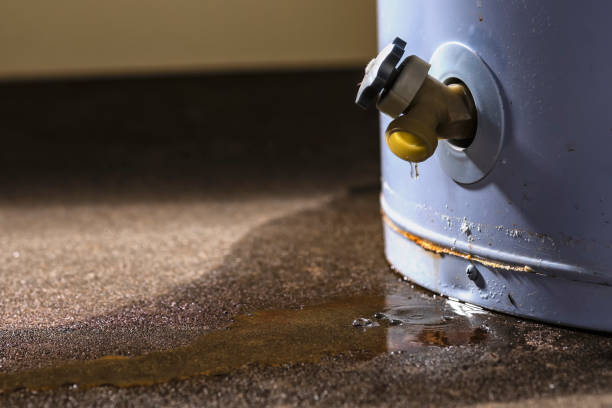 Best Water damage restoration cost  in Greenville, AL