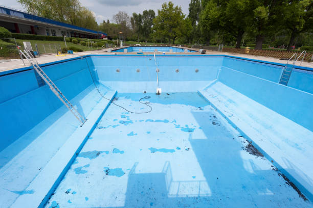 Best Water damage restoration experts  in Greenville, AL