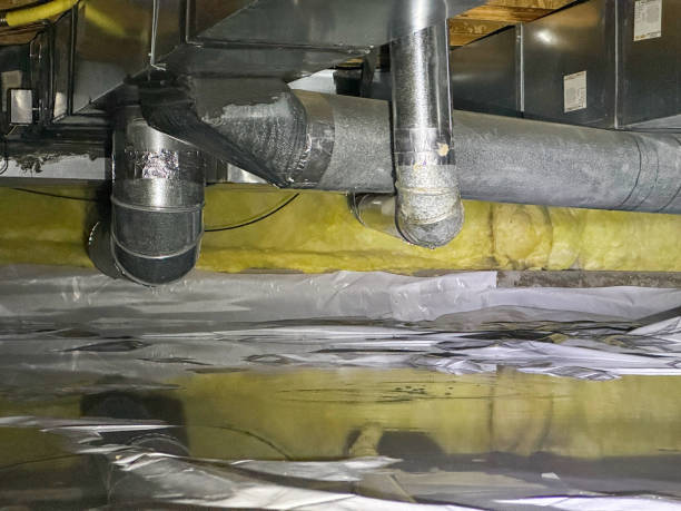 Best Water damage restoration near me  in Greenville, AL