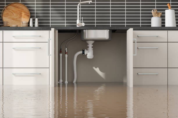 Best Water damage contractors near me  in Greenville, AL