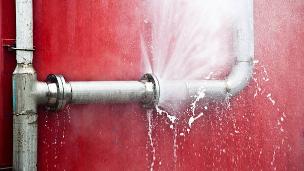 Best Water damage restoration near me  in Greenville, AL